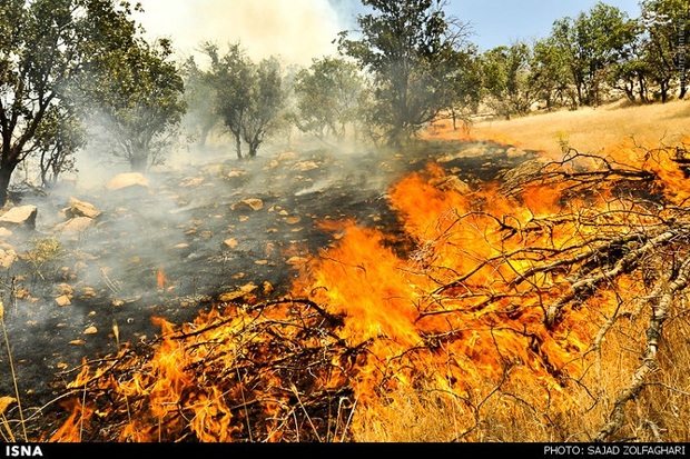 کاهش آتش سوزی در سطح مراتع خراسان شمالی
