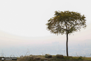 آلودگی هوای تهران