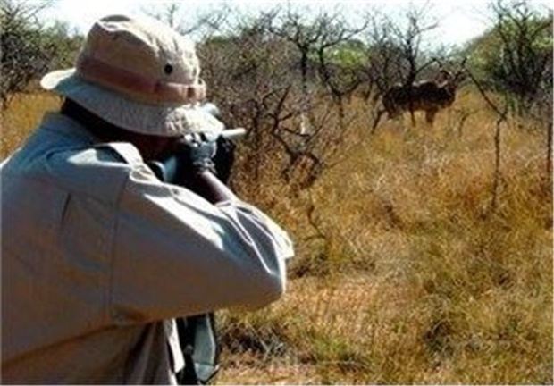 شکارچی آهو در جاجرم به یک سال حبس تعزیری محکوم شد