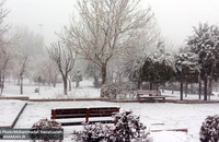 بارش برف در برخی نقاط تهران + عکس