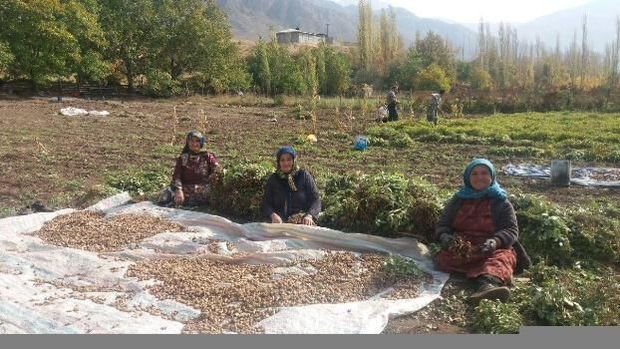 ۱۰ صندوق خرد زنان روستایی در نیر راه‌اندازی شد