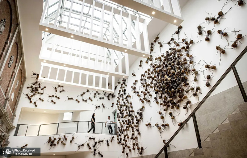 منتخب تصاویر امروز جهان - 26 شهریور 1401