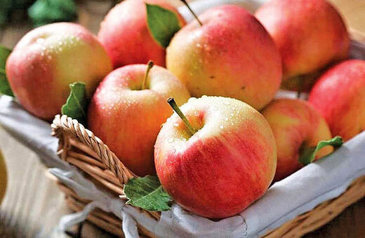 قیمت خرید سیب صنعتی در آذربایجان‌غربی مشخص شد: هر کیلو ۶۰۰ تومان