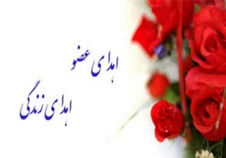 اهدای عضو بیمار مرگ مغزی در شیراز به سه نفر جان دوباره بخشید