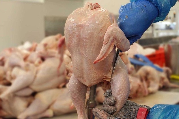 دریافت کنندگان نهاده یارانه ای باید مرغ را با قیمت دولتی عرضه کنند