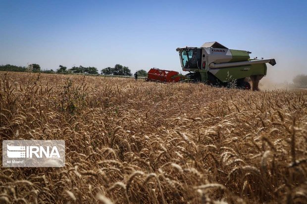 تشکیل شرکت تعاونی کمباین‌داران در خراسان رضوی کلید خورد