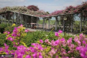 منتخب تصاویر امروز جهان- 18 شهریور