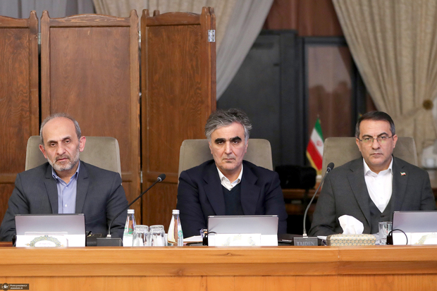 حضور فرزین در جلسه امروز هیئت دولت + عکس