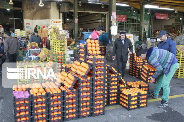 توزیع میوه شب عید در استان قزوین آغاز شد