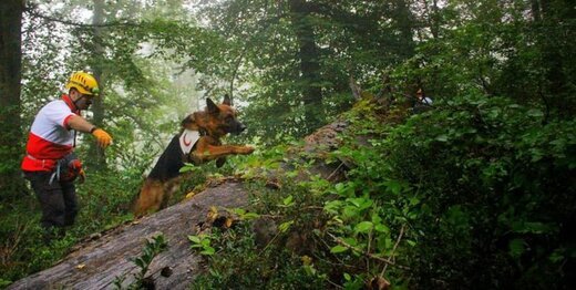 دادستان کردکوی: لباس‌های تن جسد، با نشانی‌های سها رضانژاد مطابقت دارد
