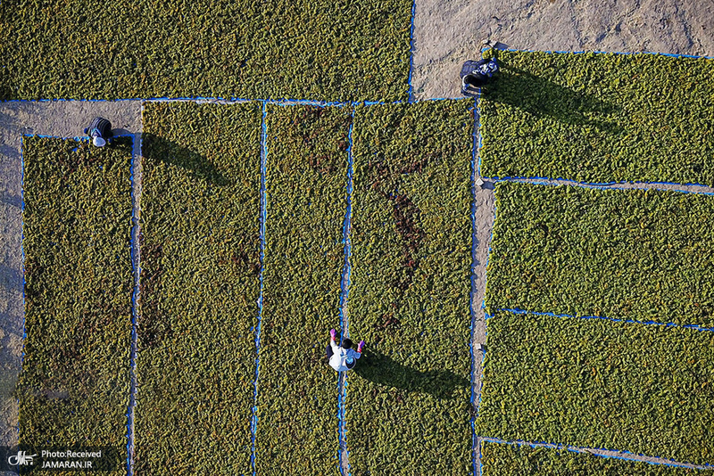 منتخب تصاویر امروز جهان- 3 مهر