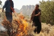 آتش بر دامان طبیعت کوهمره نودان کازرون تقاضای نیروی کمکی