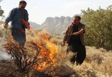 آتش بر دامان طبیعت کوهمره نودان کازرون تقاضای نیروی کمکی