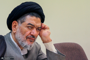 سید علی اکبر محتشمی پور (ره) به روایت تصویر