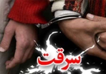 دستگیری اعضای باند سرقت دام های عشایردربروجرد