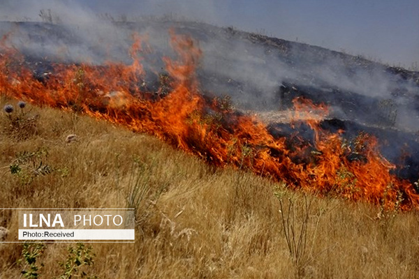 مهار آتش‌سوزی سه هکتار از مراتع دشت قزوین