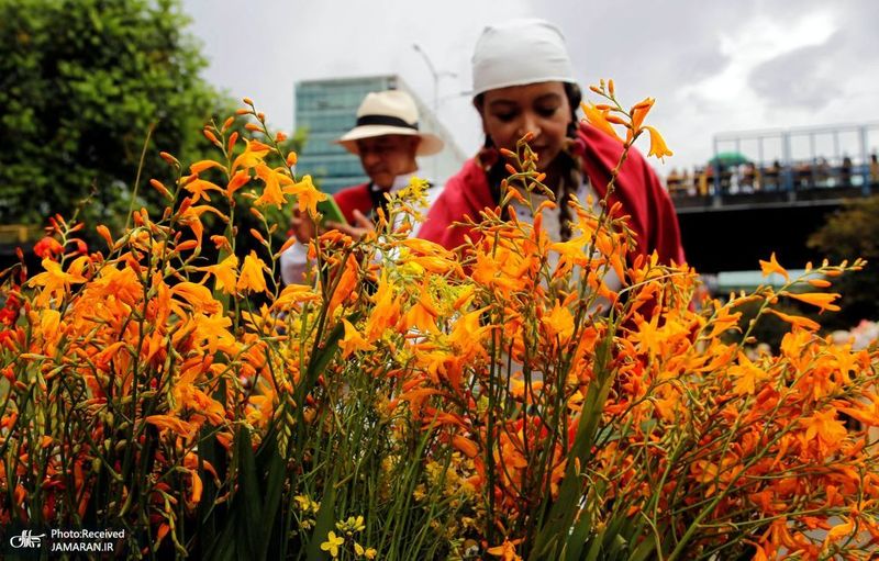 منتخب تصاویر امروز جهان - 25 مرداد 1401