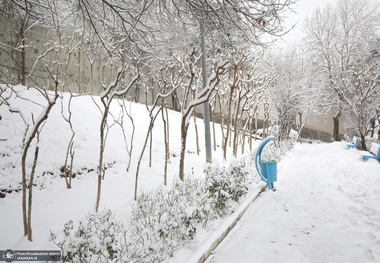 زمان دقیق بارش برف در تهران در این هفته اعلام شد