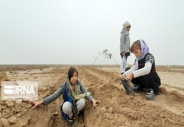 کاشت ۳۵۰ هزار نهال در خوزستان