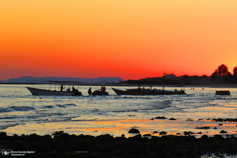 پارک زیتون قشم