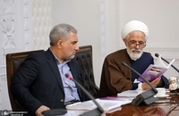 نشست هیئت پیگیری اجرای قانون اساسی (7)