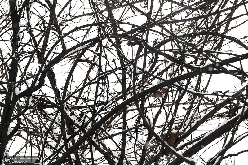 برف امروز تهران - 25 دیماه 1401