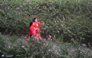 منتخب تصاویر امروز جهان