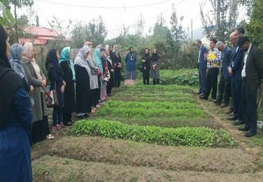 باغچه محصولات سالم در روستاهای گیلان راه اندازی شد