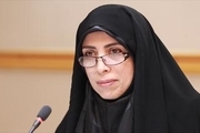 امین‌زاده: بعید می‌دانم مراجع و علما مشکلی با وزارت زنان داشته باشند