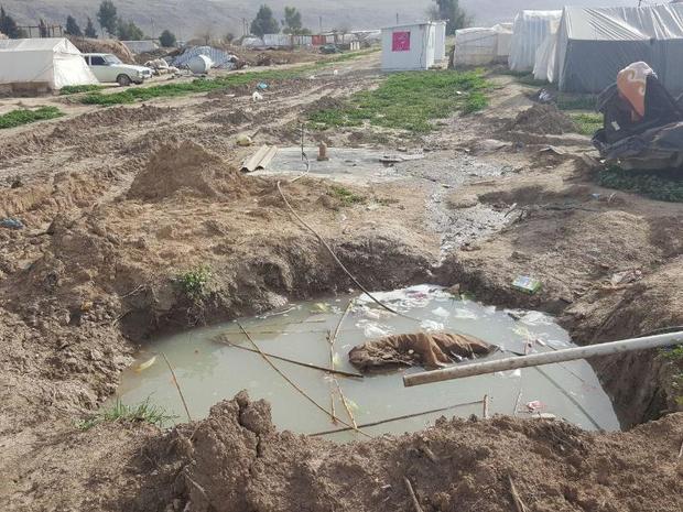 مشکل فاضلاب و زباله در مناطق زلزله زده کرمانشاه جدی است