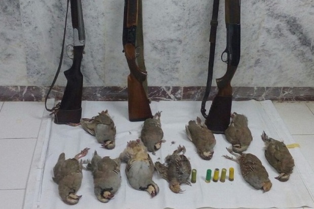 هفت شکارچی متخلف در خنج دستگیر شدند