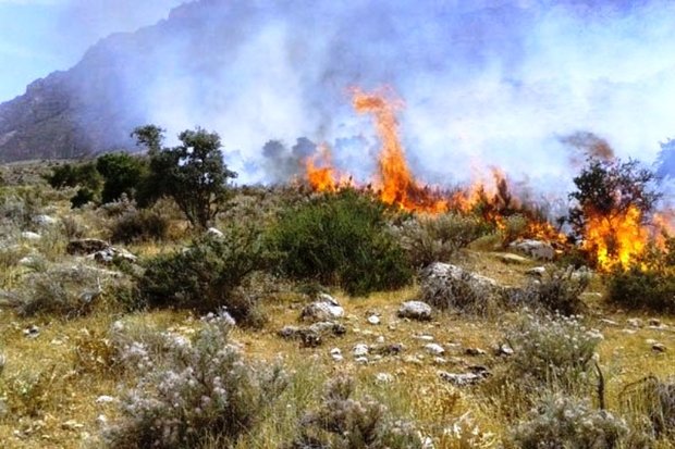 دوستداران طبیعت مراقب آتش سوزی های احتمالی باشند