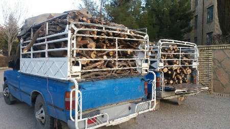 2خودروی حامل چوب درختان بلوط در یاسوج توقیف شد