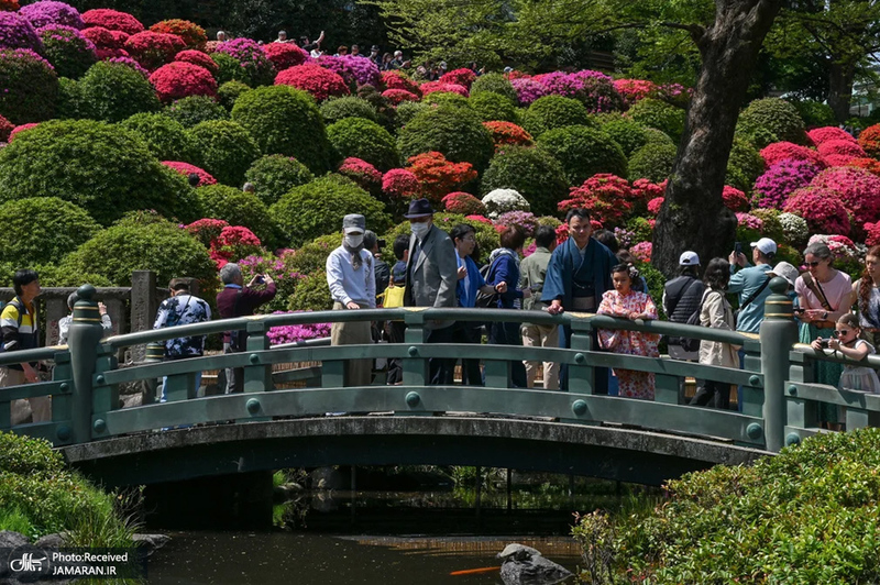 منتخب تصاویر امروز جهان - 29 و 30 فروردین 1404