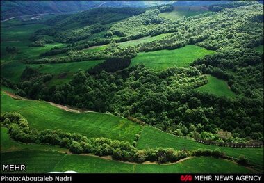 ثبت جنگل‌های هیرکانی و عقبگرد دولتی‌ها از ساحل