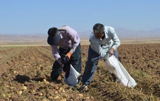 بخشنامه های بانک مرکزی صادرات را دچار مشکل کرده است