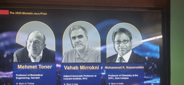 ۳ برگزیده جایزه مصطفی(ص) معرفی شدند
