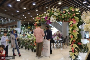 نمایشگاه گل و گیاه (28)