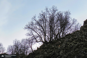 روستای سفیدآب پاوه