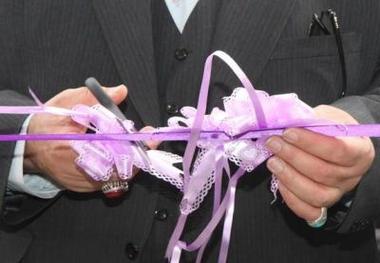 افتتاح 68 طرح عمرانی همزمان با دهمین روز دهه فجر در مهرستان