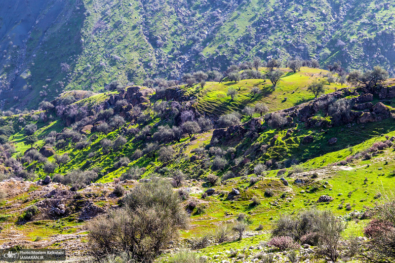 طبیعت بکر و زیبای«کفشکنان»