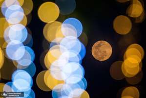 منتخب تصاویر امروز جهان- 10 بهمن