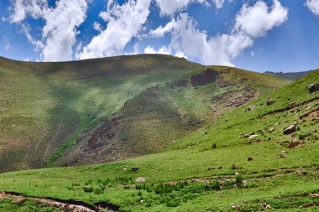 پوشش گیاهی مراتع ییلاقی استان اردبیل کاهش یافت