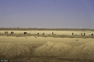 راهپیمایی اربعین 1401 - 2