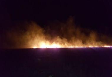 آتش سوزی دوباره در تالاب بین المللی گندمان