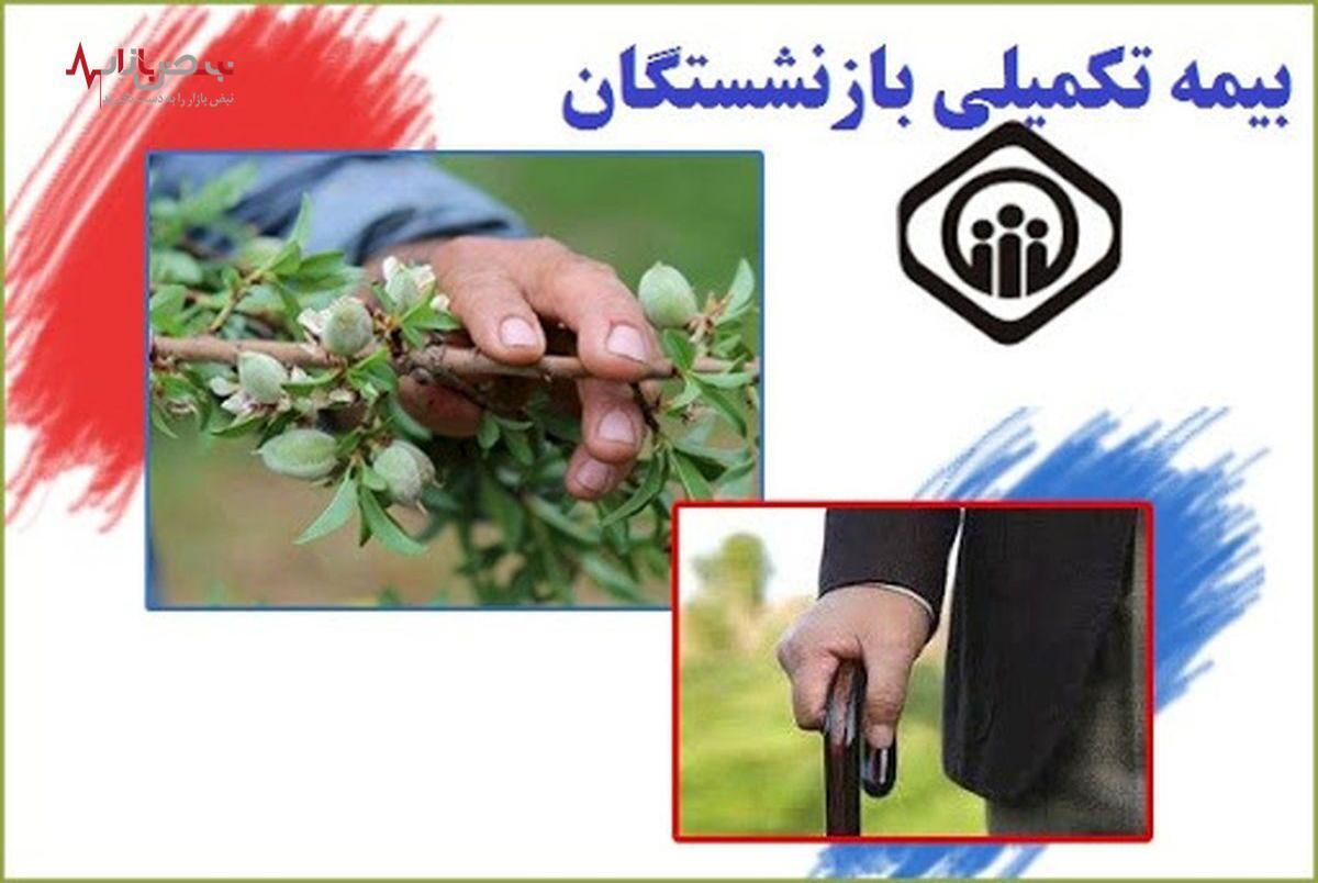 زمان شروع بیمه تکمیلی بازنشستگان تأمین اجتماعی در سال 1403 اعلام شد