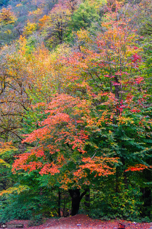 آبشار لونک دیلمان
