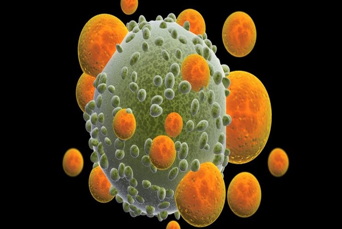 ساده شدن مقابله با سرطان با دستکاری سلول های ایمنی بدن