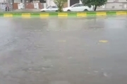  آبگرفتگی خیابان های بوشهر پس از بارش باران