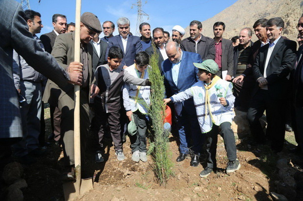 2500 اصله نهال در محوطه بیمارستان امام رضا غرس شد